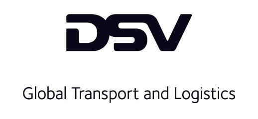 DSV logo